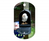 Chicken in the Mailbox 0826