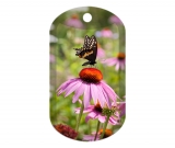 Butterfly 2179