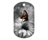Butterfly B/W 2182