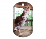 Chicken 3319