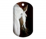 Horse 4345