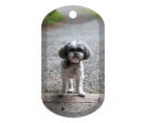 Dog 4756