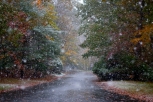 Autumn’s Snow Cards