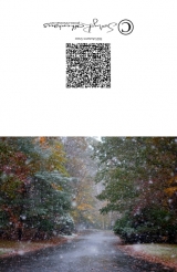 Autumn’s Snow Cards