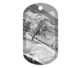 Shenandoah Landscape 5007 B/W