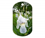Iris 2