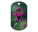 Monarda 1192