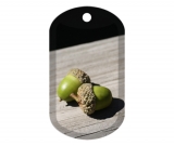 Acorns 1