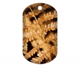 Autumn Fern 1