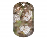 Autumn White Seedheads