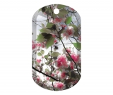 Cherry Blossoms 1