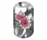 Cherry Blossoms 3